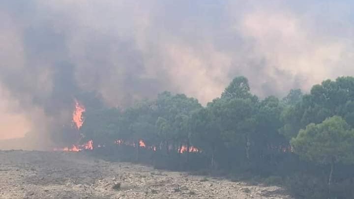 الوسلاتية.. اندلاع حريق في منطقة القليعة من جبل السرج